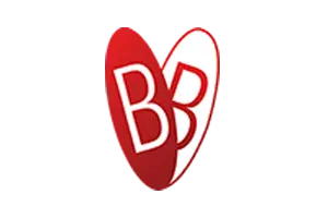 BBinternational logo