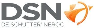 DSN logo